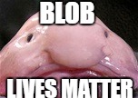 Blob Lives Matter | BLOB; LIVES MATTER | image tagged in blobfish,funny,lives matter | made w/ Imgflip meme maker