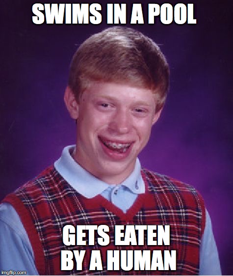 Bad Luck Brian | SWIMS IN A POOL; GETS EATEN BY A HUMAN | image tagged in memes,bad luck brian | made w/ Imgflip meme maker