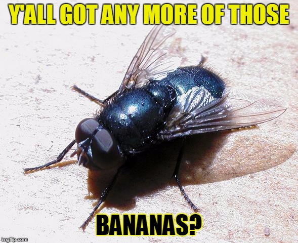 Y'ALL GOT ANY MORE OF THOSE BANANAS? | made w/ Imgflip meme maker