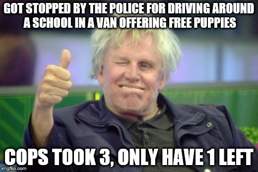 It's All Good | GOT STOPPED BY THE POLICE FOR DRIVING AROUND A SCHOOL IN A VAN OFFERING FREE PUPPIES; COPS TOOK 3, ONLY HAVE 1 LEFT | image tagged in puppies,cops,school creepers,its all good,no problems | made w/ Imgflip meme maker