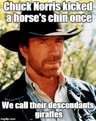 The theory of evolution | Chuck Norris kicked a horse's chin once; We call their descendants giraffes | image tagged in chuck norris,trhtimmy,memes | made w/ Imgflip meme maker