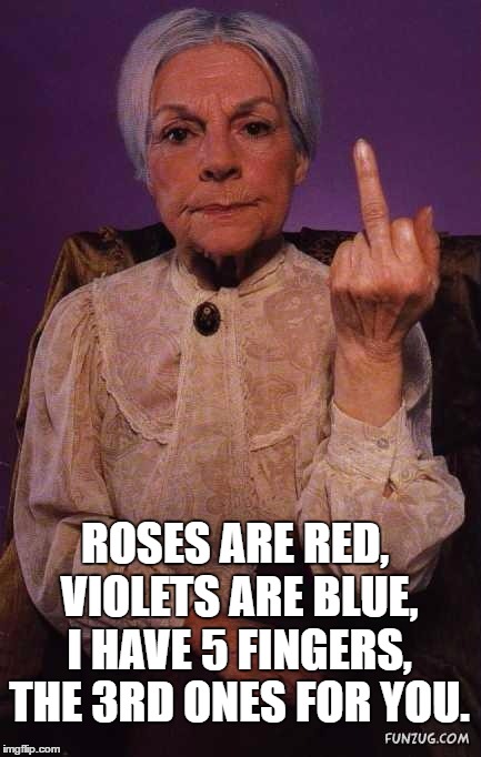 middle finger | ROSES ARE RED, VIOLETS ARE BLUE, I HAVE 5 FINGERS, THE 3RD ONES FOR YOU. | image tagged in middle finger grandma,funny,funny memes | made w/ Imgflip meme maker