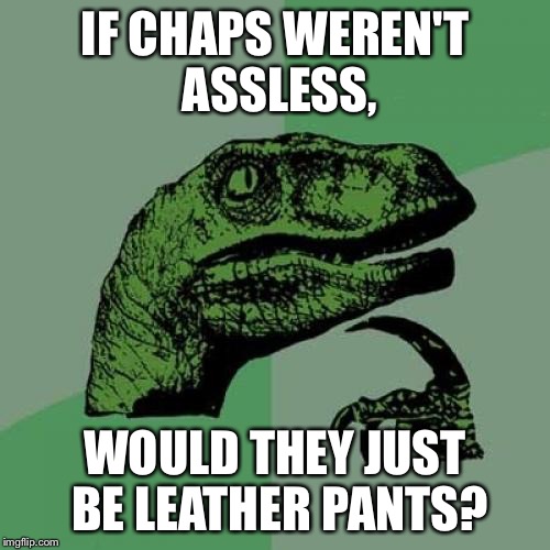 Philosoraptor Meme | IF CHAPS WEREN'T ASSLESS, WOULD THEY JUST BE LEATHER PANTS? | image tagged in memes,philosoraptor | made w/ Imgflip meme maker