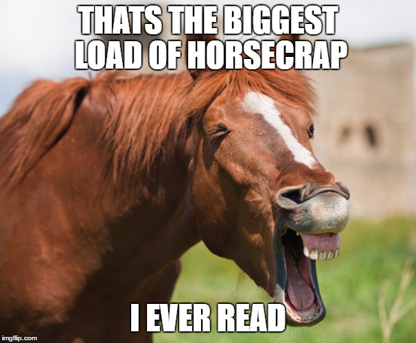 THATS THE BIGGEST LOAD OF HORSECRAP I EVER READ | made w/ Imgflip meme maker