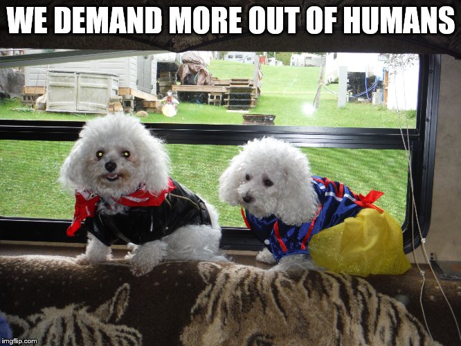 WE DEMAND MORE OUT OF
HUMANS | image tagged in biker maggie  snow white chelsea | made w/ Imgflip meme maker