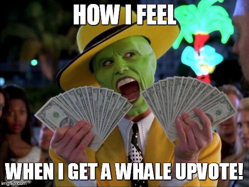 Money Money Meme | HOW I FEEL; WHEN I GET A WHALE UPVOTE! | image tagged in memes,money money | made w/ Imgflip meme maker