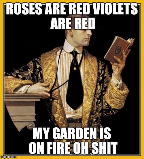 Poetry dude | ROSES ARE RED
VIOLETS ARE RED; MY GARDEN IS ON FIRE
OH SHIT | image tagged in poetry dude | made w/ Imgflip meme maker