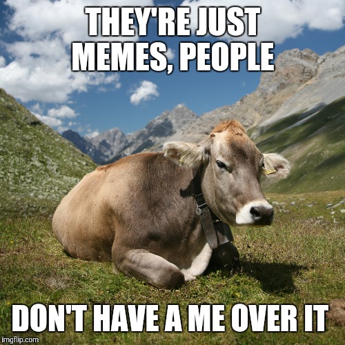 Just memes | THEY'RE JUST MEMES, PEOPLE; DON'T HAVE A ME OVER IT | image tagged in memes,imgflip | made w/ Imgflip meme maker