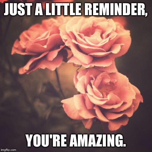 Beautiful Vintage Flowers | JUST A LITTLE REMINDER, YOU'RE AMAZING. | image tagged in beautiful vintage flowers | made w/ Imgflip meme maker