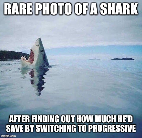 shark_head_out_of_water | RARE PHOTO OF A SHARK; AFTER FINDING OUT HOW MUCH HE'D SAVE BY SWITCHING TO PROGRESSIVE | image tagged in shark_head_out_of_water | made w/ Imgflip meme maker