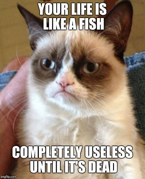 Grumpy Cat | YOUR LIFE IS LIKE A FISH; COMPLETELY USELESS UNTIL IT'S DEAD | image tagged in memes,grumpy cat | made w/ Imgflip meme maker