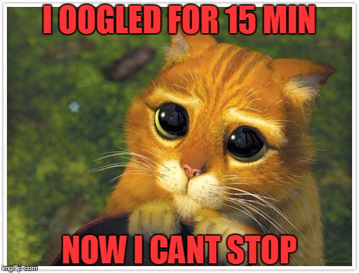 Shrek Cat Meme | I OOGLED FOR 15 MIN; NOW I CANT STOP | image tagged in memes,shrek cat | made w/ Imgflip meme maker