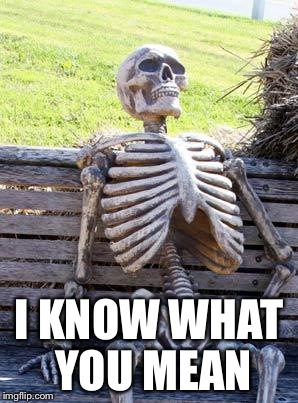 Waiting Skeleton Meme | I KNOW WHAT YOU MEAN | image tagged in memes,waiting skeleton | made w/ Imgflip meme maker