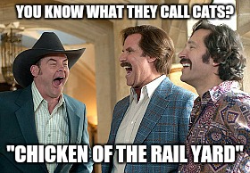 YOU KNOW WHAT THEY CALL CATS? "CHICKEN OF THE RAIL YARD" | made w/ Imgflip meme maker