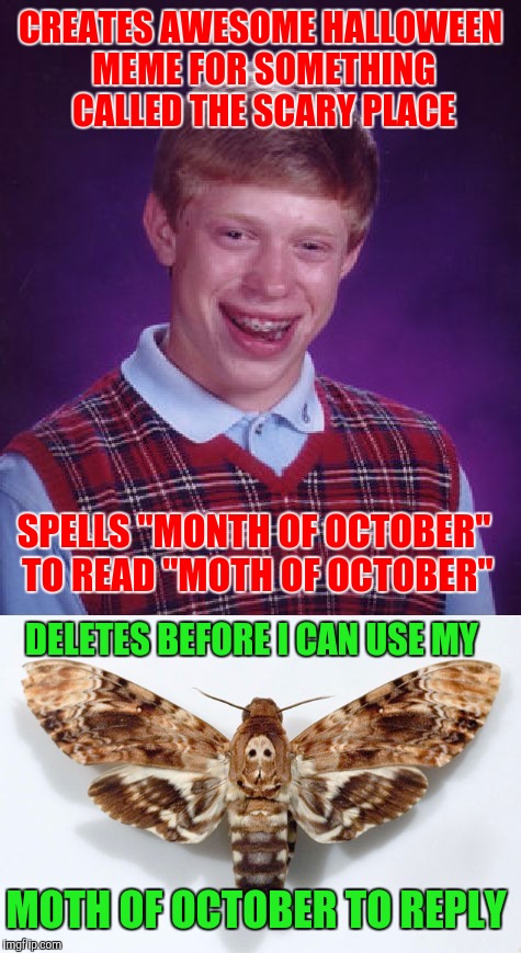 I present the death's head hawkmoth | CREATES AWESOME HALLOWEEN MEME FOR SOMETHING CALLED THE SCARY PLACE; SPELLS "MONTH OF OCTOBER" TO READ "MOTH OF OCTOBER"; DELETES BEFORE I CAN USE MY; MOTH OF OCTOBER TO REPLY | image tagged in bad luck brian,memes,spelling nazi | made w/ Imgflip meme maker