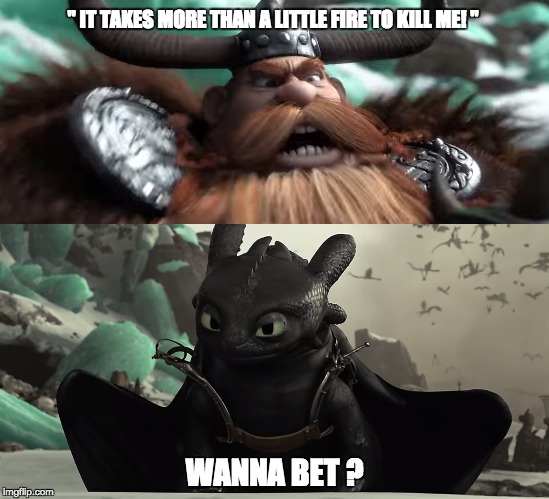 " IT TAKES MORE THAN A LITTLE FIRE TO KILL ME! "; WANNA BET ? | image tagged in toothless,how to train your dragon | made w/ Imgflip meme maker
