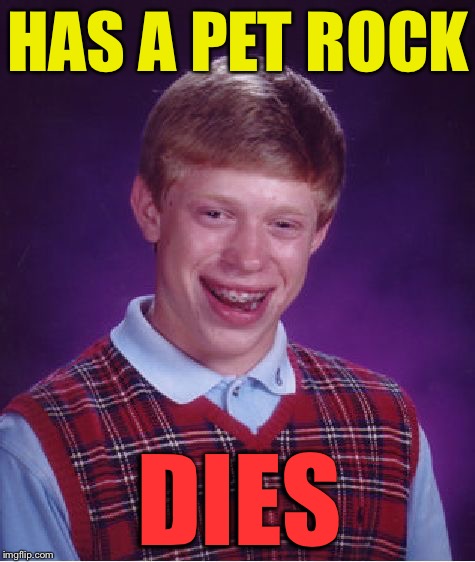 Bad Luck Brian | HAS A PET ROCK; DIES | image tagged in memes,bad luck brian | made w/ Imgflip meme maker