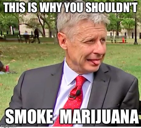 This is your brain on drugs. | THIS IS WHY YOU SHOULDN'T; SMOKE 
MARIJUANA | image tagged in gary johnson,marijuana | made w/ Imgflip meme maker