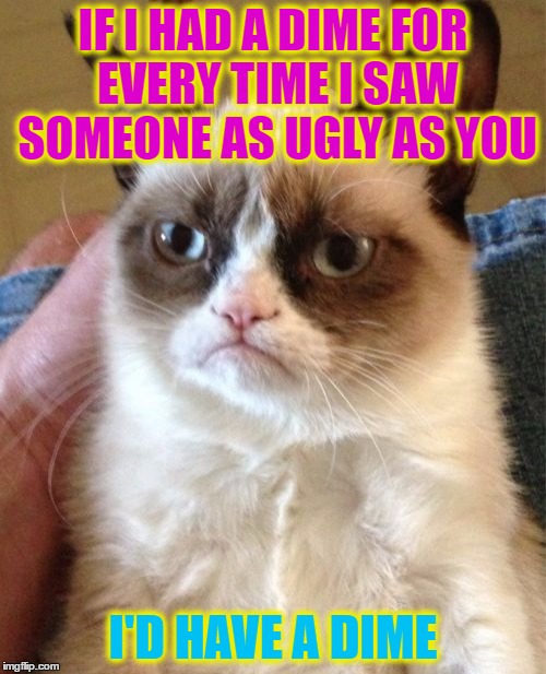 Grumpy Cat Meme | IF I HAD A DIME FOR EVERY TIME I SAW SOMEONE AS UGLY AS YOU; I'D HAVE A DIME | image tagged in memes,grumpy cat | made w/ Imgflip meme maker