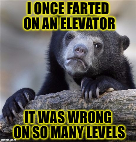 Confession Bear Meme | I ONCE FARTED ON AN ELEVATOR; IT WAS WRONG ON SO MANY LEVELS | image tagged in memes,confession bear | made w/ Imgflip meme maker