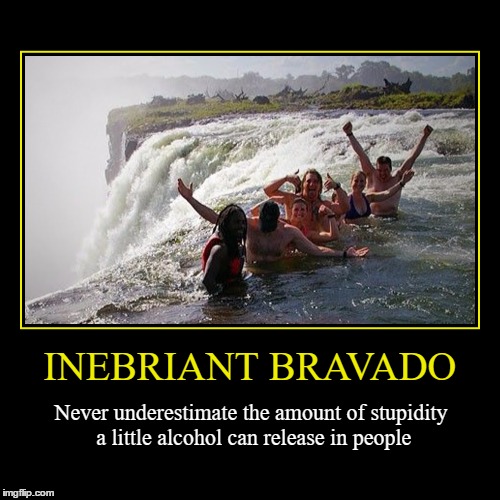 Inebriant Bravado | image tagged in funny,demotivationals,wmp,alcohol,stupidity | made w/ Imgflip demotivational maker