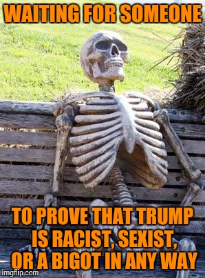 Waiting Skeleton | WAITING FOR SOMEONE; TO PROVE THAT TRUMP IS RACIST, SEXIST, OR A BIGOT IN ANY WAY | image tagged in memes,waiting skeleton | made w/ Imgflip meme maker