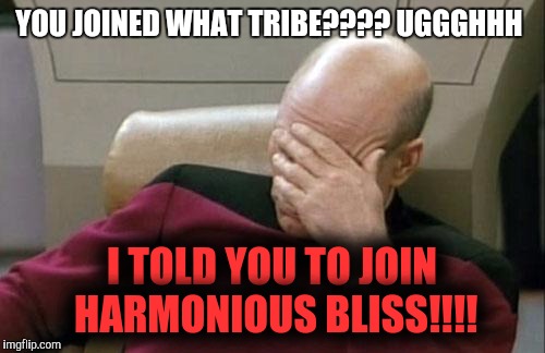 Captain Picard Facepalm Meme | YOU JOINED WHAT TRIBE???? UGGGHHH; I TOLD YOU TO JOIN HARMONIOUS BLISS!!!! | image tagged in memes,captain picard facepalm | made w/ Imgflip meme maker