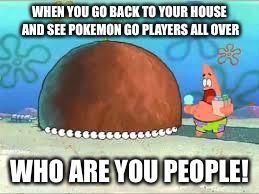 WHO ARE YOU PEOPLE? | WHEN YOU GO BACK TO YOUR HOUSE AND SEE POKEMON GO PLAYERS ALL OVER; WHO ARE YOU PEOPLE! | image tagged in who are you people | made w/ Imgflip meme maker