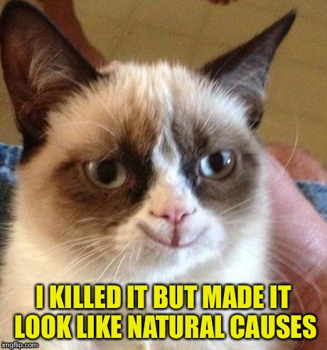 grumpy smile | I KILLED IT BUT MADE IT LOOK LIKE NATURAL CAUSES | image tagged in grumpy smile | made w/ Imgflip meme maker