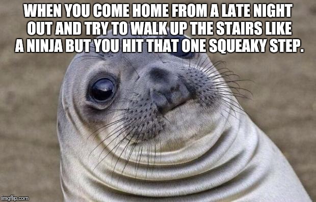 Awkward Moment Sealion Meme | WHEN YOU COME HOME FROM A LATE NIGHT OUT AND TRY TO WALK UP THE STAIRS LIKE A NINJA BUT YOU HIT THAT ONE SQUEAKY STEP. | image tagged in memes,awkward moment sealion | made w/ Imgflip meme maker
