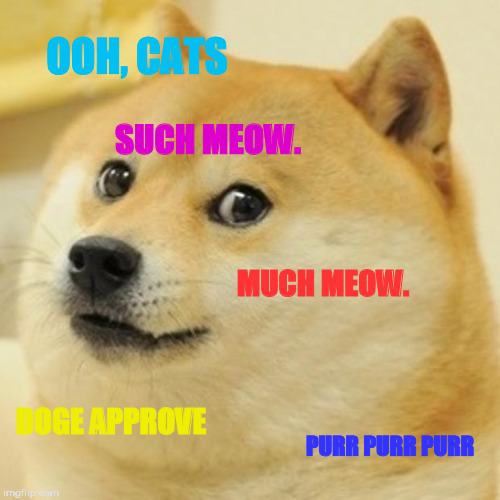 Doge Loves Cats | OOH, CATS; SUCH MEOW. MUCH MEOW. DOGE APPROVE; PURR PURR PURR | image tagged in memes,doge | made w/ Imgflip meme maker