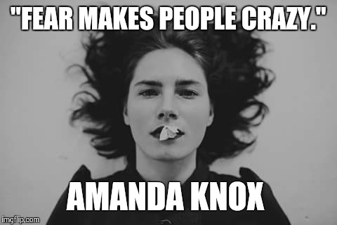 Fear makes people crazy | "FEAR MAKES PEOPLE CRAZY."; AMANDA KNOX | image tagged in amanda,knox,foxy,freedom | made w/ Imgflip meme maker