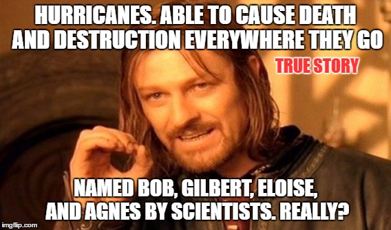 seriously, is that the best they can do? | HURRICANES. ABLE TO CAUSE DEATH AND DESTRUCTION EVERYWHERE THEY GO; TRUE STORY; NAMED BOB, GILBERT, ELOISE, AND AGNES BY SCIENTISTS. REALLY? | image tagged in memes,one does not simply,hurricane,death | made w/ Imgflip meme maker