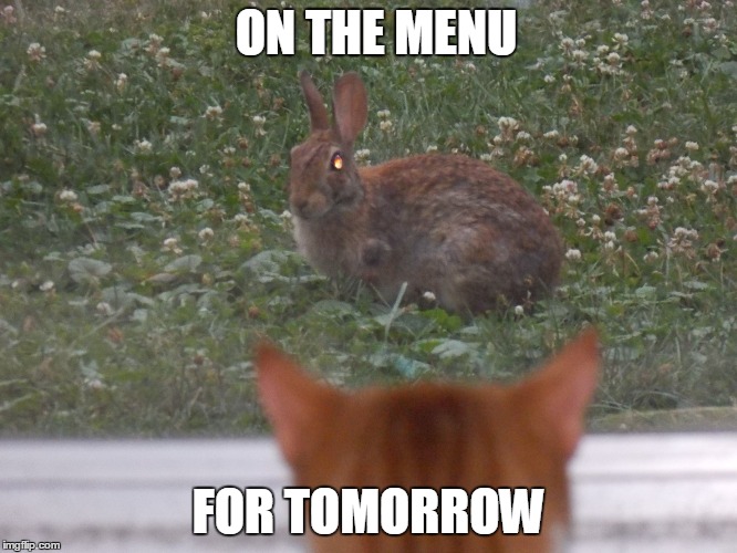 ON THE MENU FOR TOMORROW | made w/ Imgflip meme maker