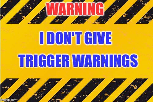 warning banner | WARNING; I DON'T GIVE; TRIGGER WARNINGS | image tagged in warning banner | made w/ Imgflip meme maker