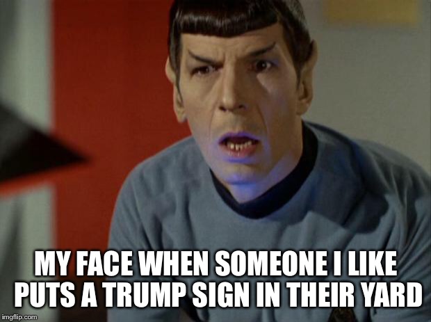 Shocked Spock  | MY FACE WHEN SOMEONE I LIKE PUTS A TRUMP SIGN IN THEIR YARD | image tagged in shocked spock | made w/ Imgflip meme maker