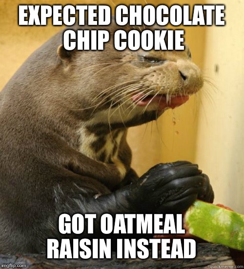 Disgusted Otter | EXPECTED CHOCOLATE CHIP COOKIE; GOT OATMEAL RAISIN INSTEAD | image tagged in disgusted otter | made w/ Imgflip meme maker