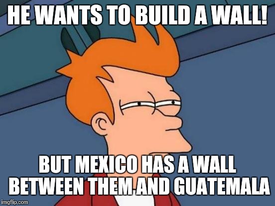 Futurama Fry Meme | HE WANTS TO BUILD A WALL! BUT MEXICO HAS A WALL BETWEEN THEM AND GUATEMALA | image tagged in memes,futurama fry | made w/ Imgflip meme maker