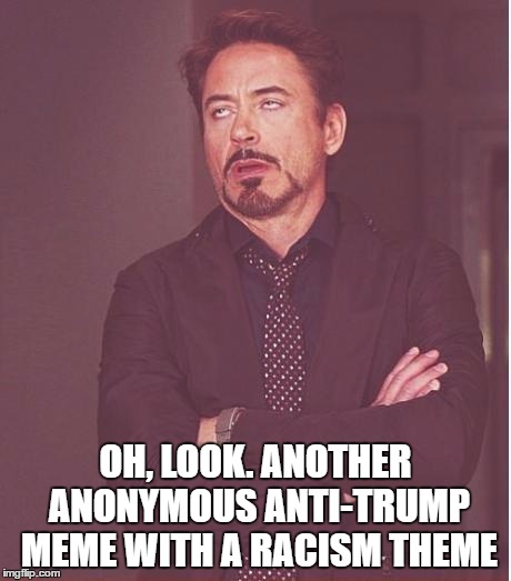 Face You Make Robert Downey Jr Meme | OH, LOOK. ANOTHER ANONYMOUS ANTI-TRUMP MEME WITH A RACISM THEME | image tagged in memes,face you make robert downey jr | made w/ Imgflip meme maker