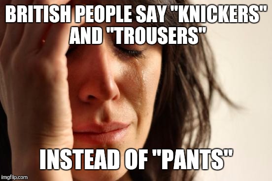 Well excuuuuuuse me miss fancy slacks! | BRITISH PEOPLE SAY "KNICKERS" AND "TROUSERS"; INSTEAD OF "PANTS" | image tagged in memes,first world problems | made w/ Imgflip meme maker