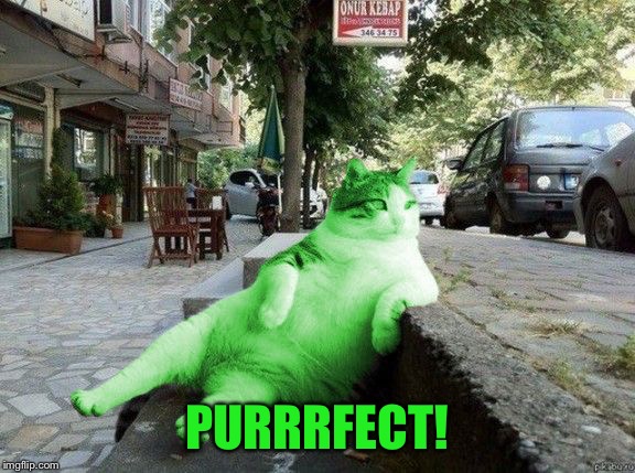 RayCat relaxing | PURRRFECT! | image tagged in raycat relaxing | made w/ Imgflip meme maker