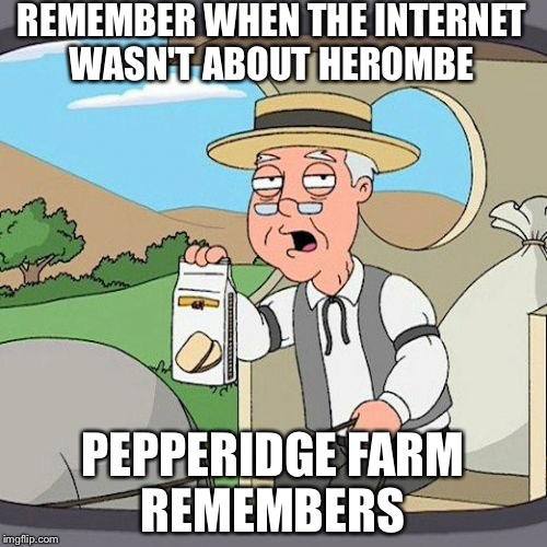 Pepperidge Farm Remembers | REMEMBER WHEN THE INTERNET WASN'T ABOUT HEROMBE; PEPPERIDGE FARM REMEMBERS | image tagged in memes,pepperidge farm remembers | made w/ Imgflip meme maker