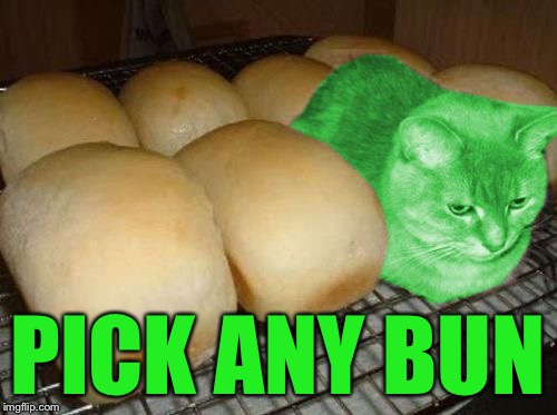 Loaf RayCat | PICK ANY BUN | image tagged in loaf raycat | made w/ Imgflip meme maker