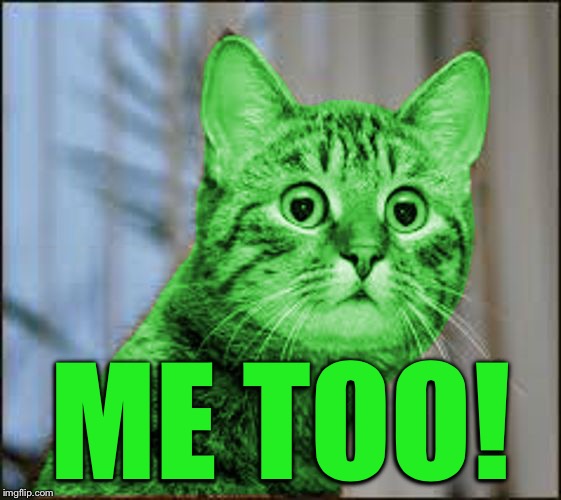 RayCat WTF | ME TOO! | image tagged in raycat wtf | made w/ Imgflip meme maker
