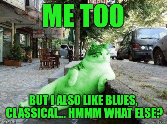 RayCat relaxing | ME TOO BUT I ALSO LIKE BLUES, CLASSICAL... HMMM WHAT ELSE? | image tagged in raycat relaxing | made w/ Imgflip meme maker