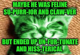 happy RayCat | MAYBE HE WAS FELINE SU-PURR-IOR AND CLAW-VER BUT ENDED UP UN-FUR-TUNATE AND HISS-TERICAL | image tagged in happy raycat | made w/ Imgflip meme maker