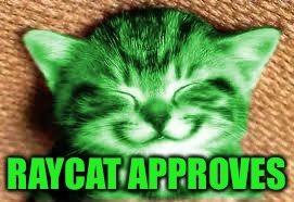 happy RayCat | RAYCAT APPROVES | image tagged in happy raycat | made w/ Imgflip meme maker