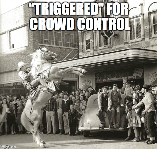 “TRIGGERED" FOR CROWD CONTROL | made w/ Imgflip meme maker
