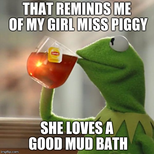 But That's None Of My Business Meme | THAT REMINDS ME OF MY GIRL MISS PIGGY SHE LOVES A GOOD MUD BATH | image tagged in memes,but thats none of my business,kermit the frog | made w/ Imgflip meme maker