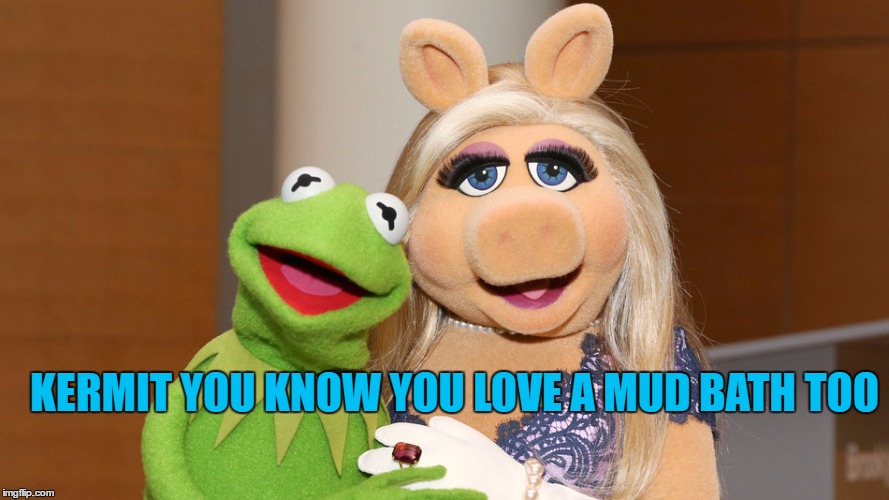 KERMIT YOU KNOW YOU LOVE A MUD BATH TOO | made w/ Imgflip meme maker